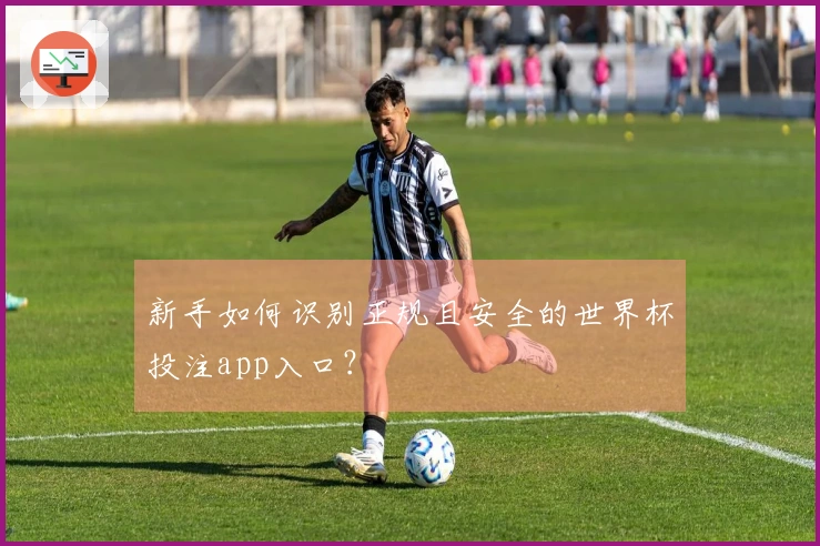 新手如何识别正规且安全的世界杯投注app入口？