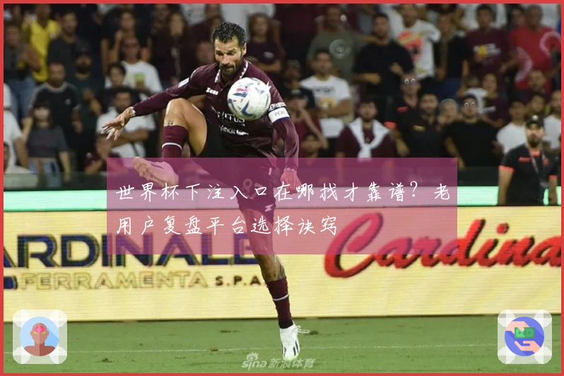 世界杯下注入口在哪找才靠谱？老用户复盘平台选择诀窍