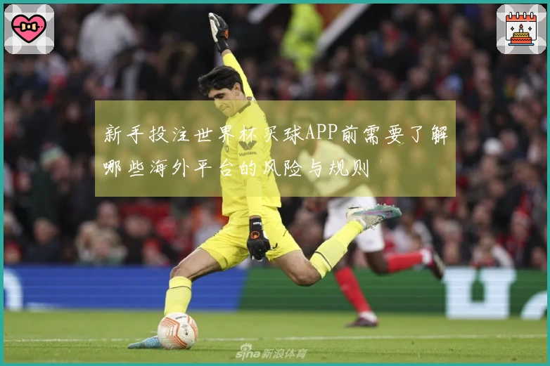 新手投注世界杯买球APP前需要了解哪些海外平台的风险与规则